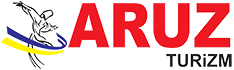 Aruz Company Logo